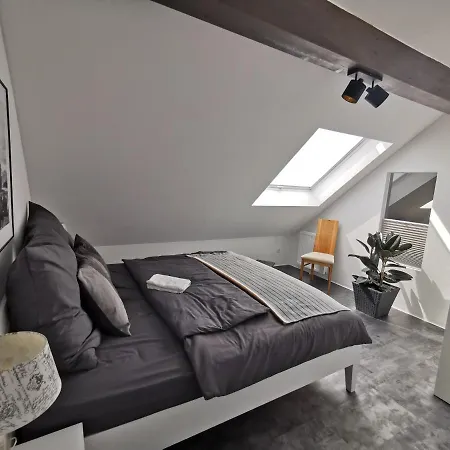 Apartmán Skyline Klimatisierte Dachgeschoss-wohnung In Mit Blick Ins Rheintal