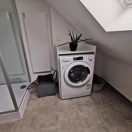 Skyline Klimatisierte Dachgeschoss-wohnung In Mit Blick Ins Rheintal *