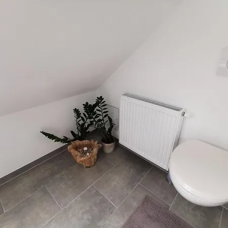 Апартаменты Skyline Klimatisierte Dachgeschoss-wohnung In Mit Blick Ins Rheintal Дорнбирн