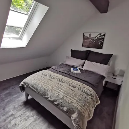 Skyline Klimatisierte Dachgeschoss-wohnung In Mit Blick Ins Rheintal Апартаменты *