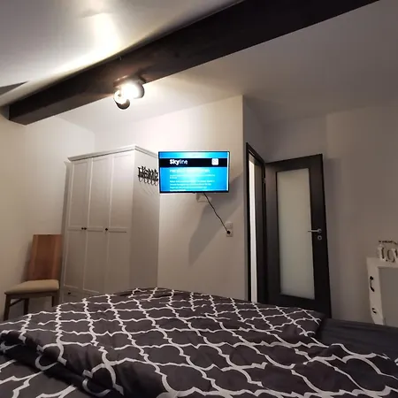 Апартаменты Skyline Klimatisierte Dachgeschoss-wohnung In Mit Blick Ins Rheintal Дорнбирн